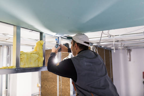 Professional Insulation Contractor in CA