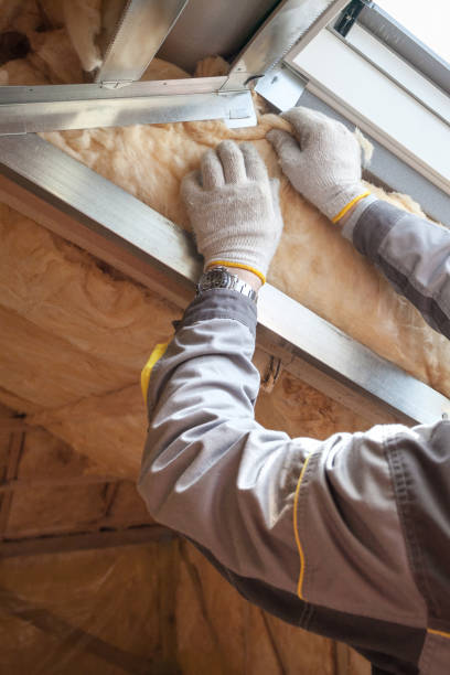 Best Types of Insulation in Woodville, CA